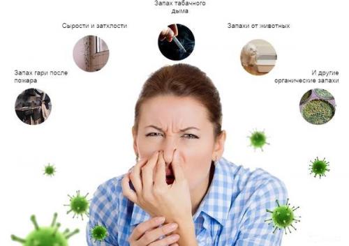 Запах чистоты в доме. Места скопления неприятных запахов в жилище