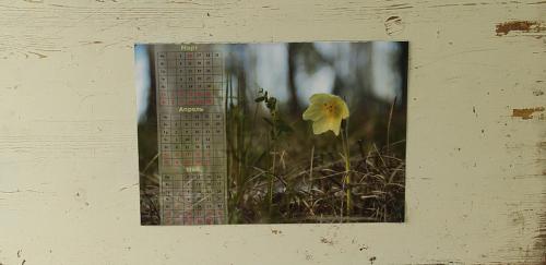 Имитация белого кирпича. Белый кирпич и стили интерьера 10 Имитация белого кирпича. Белый кирпич и стили интерьера 10