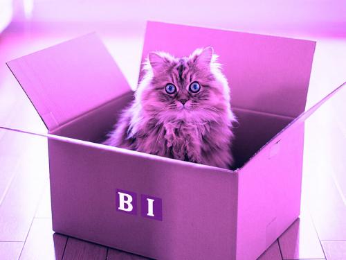 Когда лучше переезжать в новую квартиру в 2019 году. Переезд по лунному календарю