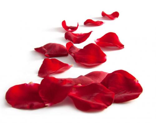 Лепестки роз на кровати. Романтическая атмосфера