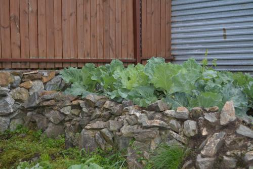 Горы и дом. Дом на склоне горы. Где строить, внизу или вверху