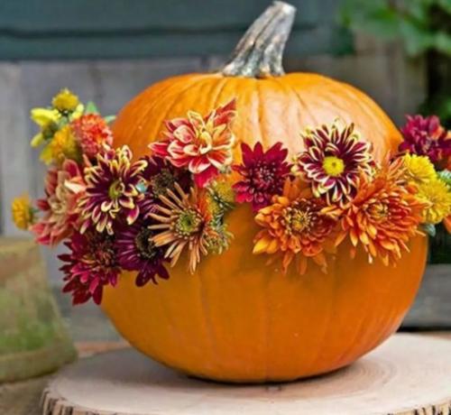 Как сделать экибану из тыквы. Красивые поделки из тыквы на выставку в школу