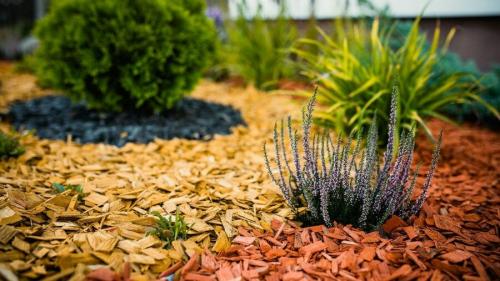 Как засыпать клумбу корой. Декоративные органические отсыпки