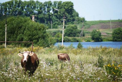 Заброшенный бассейн в деревне федоровка. «Венецианский» бассейн для инженеров и пионеров