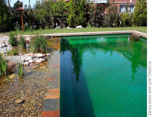 Дизайн дачного участка с бассейном. Новый тренд в садовом дизайне — ландшафтные бассейны