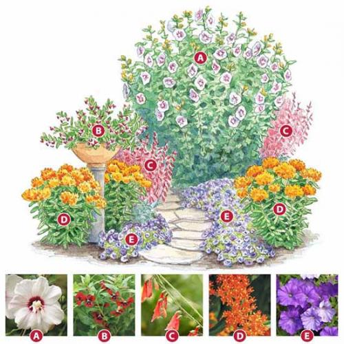 Проект формы клумб. Как сделать красивую клумбу: 15 схем для цветника