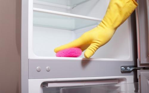 Как освежить воздух в холодильнике. Как устранить появившийся из-за испортившихся продуктов?