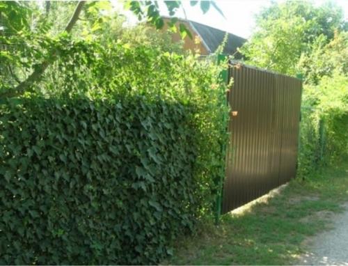 Как украсить забор рабицу. 10 способов сделать забор из сетки-рабицы привлекательнее