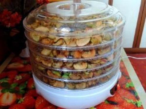 Таблица времени сушки фруктов овощей. Инструкция по сушению