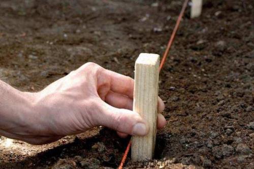 Как сделать красивый забор из сетки-рабицы. Как возвести натяжную ограду