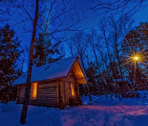 Мужик строит дом в джунглях. Особо умиротворяющее видео: мужчина строит хижину в канадской глуши