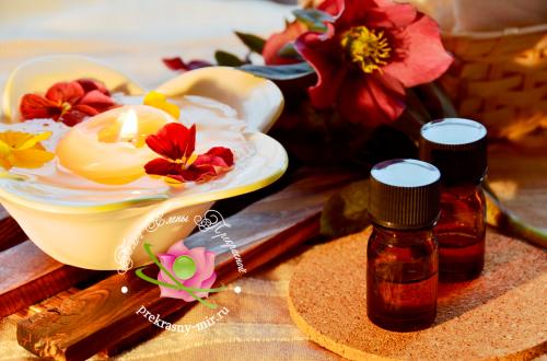 Как освежить квартиру с помощью эфирных масел.  Эфирные масла для дома: как использовать