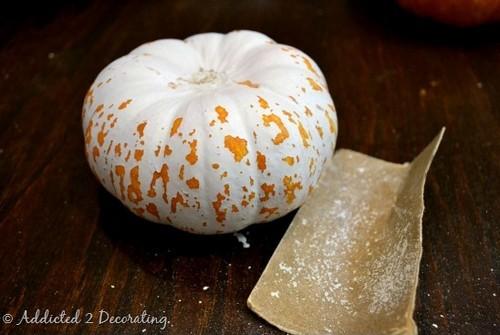 Ваза из тыквы своими. Вазы из тыквы – яркое и свежее украшение интерьера своими руками 09