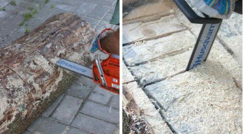 Как сделать клумбу из бревна. Клумба из бревна своими руками 01