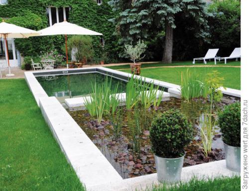Дизайн дачного участка с бассейном. Новый тренд в садовом дизайне — ландшафтные бассейны