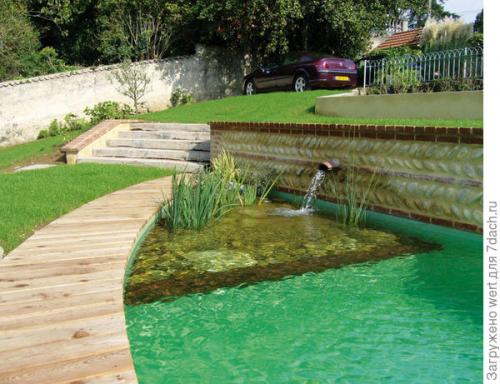 Дизайн дачного участка с бассейном. Новый тренд в садовом дизайне — ландшафтные бассейны