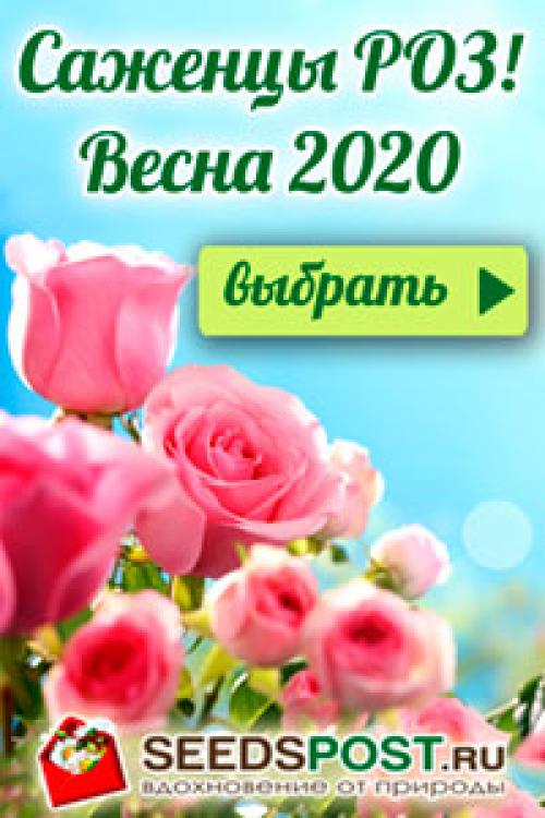 Железный бассейн своими руками. Реконструкция железного бассейна