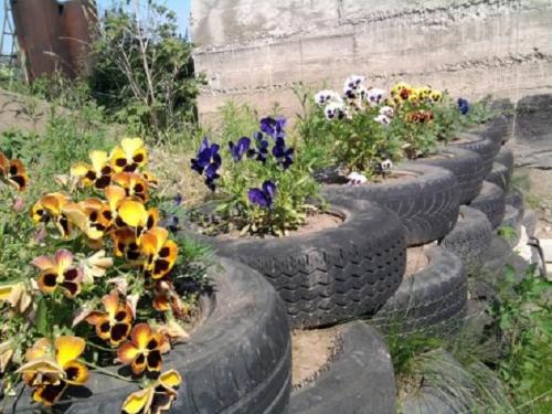 Недорогие растения для ландшафтного дизайна. Где взять недорогие материалы для обустройства участка