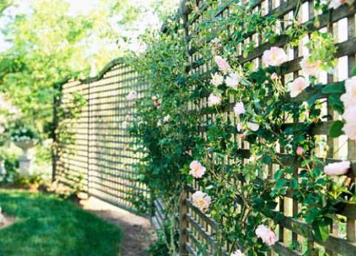 Как украсить сетку рабицу своими руками. 6 идей, как украсить забор из сетки-рабицы