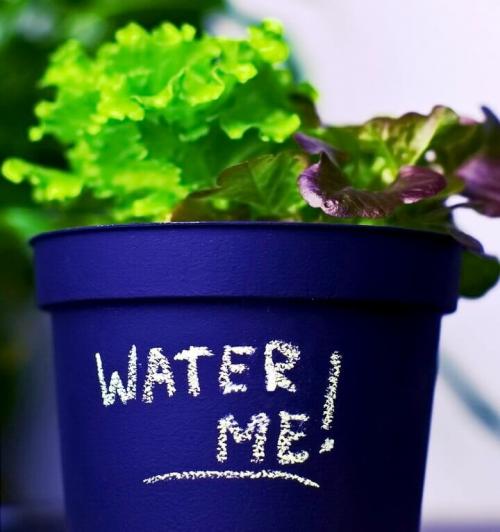 Как декорировать цветочные горшки своими руками. Как украсить цветочный горшок своими руками: лучшие идеи [фото и видео]