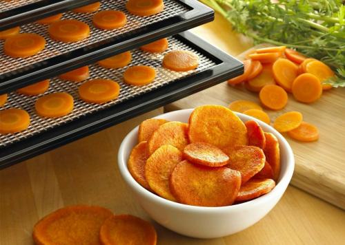 Как пользоваться сушилкой для фруктов. Сушилка для фруктов: для чего нужна, плюсы и минусы