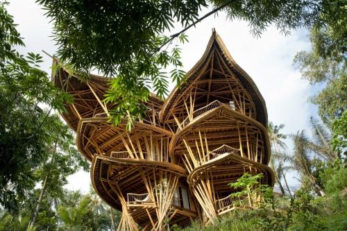 Хижина из бамбука. Революция в архитектуре: фантастический дом из бамбуковых стеблей появился на Бали