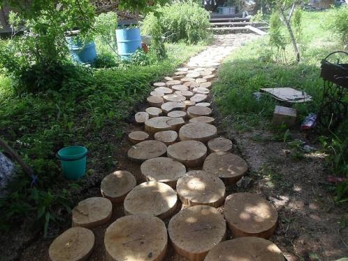 Недорогие растения для ландшафтного дизайна. Где взять недорогие материалы для обустройства участка