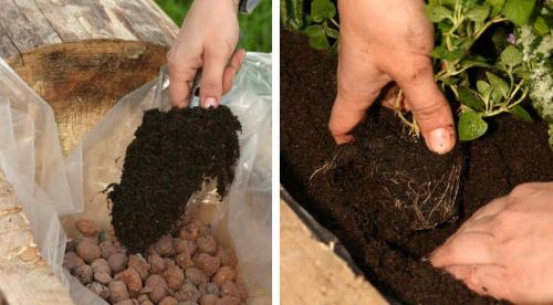 Как сделать клумбу из бревна. Клумба из бревна своими руками 03