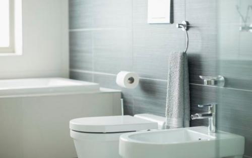 Какого цвета должна быть ванная комната по фен-шуй. Где должна находиться ванная комната: удачное расположение по фен-шуй 34