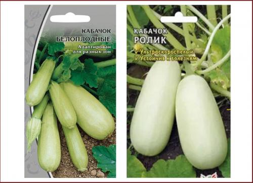 Ваза из тыквы или кабачка. Знакомьтесь: тыквачок и кабатыква. Расскажу, как переопылились их родители, и можно ли это есть