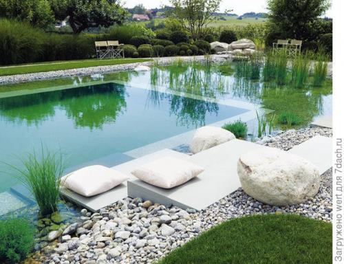 Дизайн дачного участка с бассейном. Новый тренд в садовом дизайне — ландшафтные бассейны