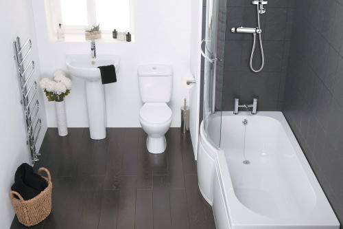 Совмещенный санузел гигиена. Совмещенный санузел: «плюсы» и «минусы»