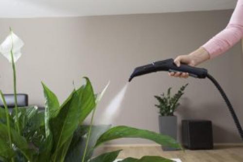 Как работает пароочиститель. Пароочиститель —, что им можно делать?