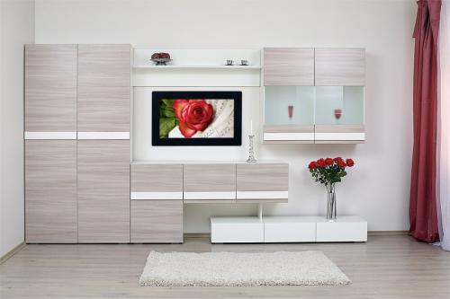Дизайн гостиной со шкафом купе. Шкаф в гостиную – дизайн мебели и организация полезного пространства (110 фото)