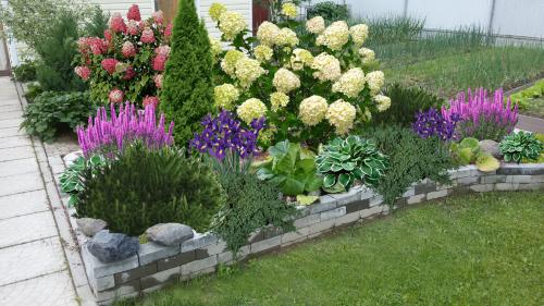 Проект цветущая клумба. Проект цветущей клумбы: фото До и После