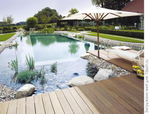 Дизайн дачного участка с бассейном. Новый тренд в садовом дизайне — ландшафтные бассейны