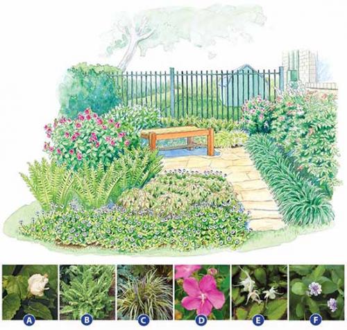 Проект формы клумб. Как сделать красивую клумбу: 15 схем для цветника