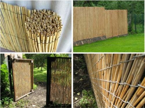 Как замаскировать сетку рабицу. 10 способов сделать забор из сетки-рабицы привлекательнее