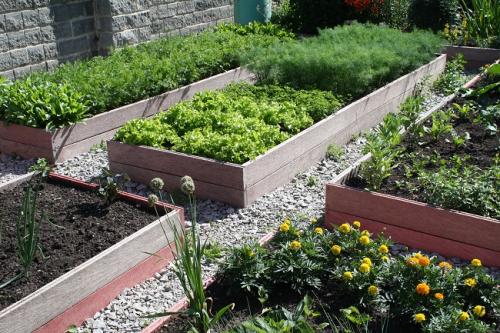 Недорогие растения для ландшафтного дизайна. Где взять недорогие материалы для обустройства участка