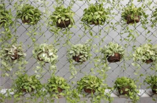 Как украсить забор рабицу. 10 способов сделать забор из сетки-рабицы привлекательнее