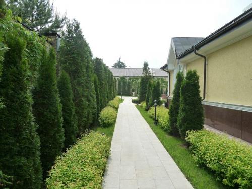 Как забор из рабицы сделать непрозрачным. Как модернизировать и сделать более привлекательным забор из сетки-рабицы 10 Как забор из рабицы сделать непрозрачным. Как модернизировать и сделать более привлекательным забор из сетки-рабицы 10