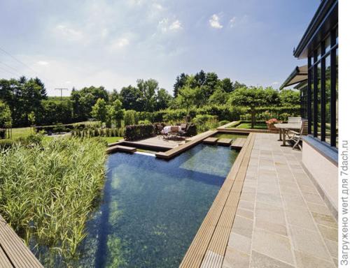 Дизайн дачного участка с бассейном. Новый тренд в садовом дизайне — ландшафтные бассейны