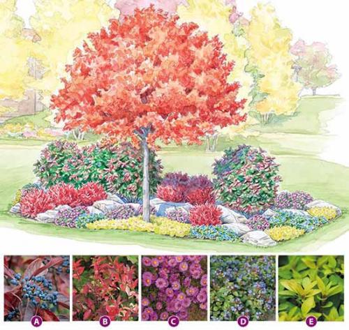 Проект формы клумб. Как сделать красивую клумбу: 15 схем для цветника