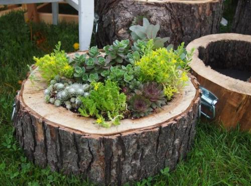 Клумбы из спилов дерева. Как из брёвен сделать клумбу