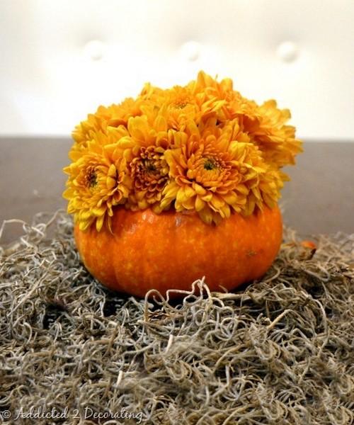 Как сделать вазу из декоративной тыквы. Вазы из тыквы – яркое и свежее украшение интерьера своими руками 12