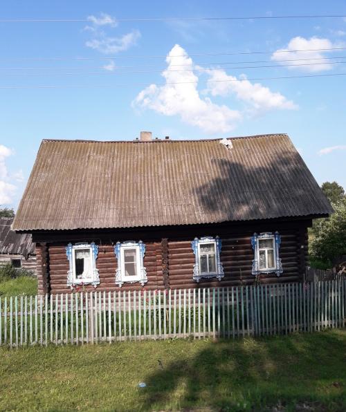 На могиле осиное гнездо. Почему дома в деревне никто и никогда не разрушит осиное гнездо, даже если оно появилось под самым «носом»