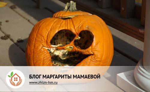 Ваза из тыквы своими руками на тему осень. Осенние поделки из тыквы на выставку в школу и детский сад