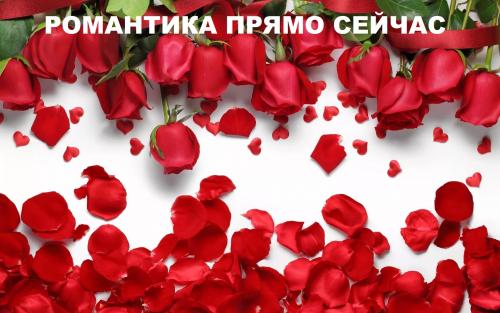 Лепестки роз минск. ЛЕПЕСТКИ РОЗ И СВЕЧИ В МИНСКЕ