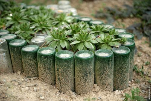 Оригинальные клумбы. Ограждения из бутылок