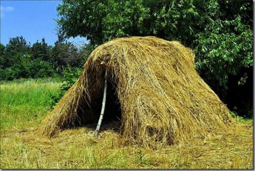 Как построить шалаш в лесу. Что такое шалаш